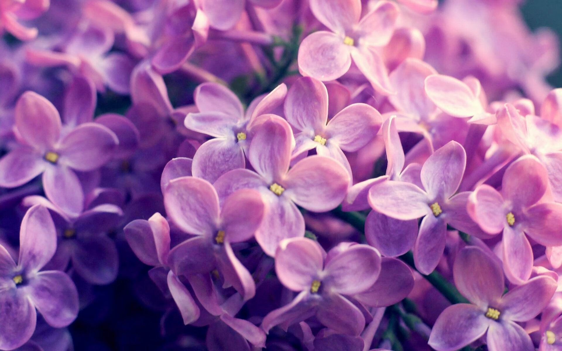 掘金绝杀浙江队，字母哥在美加墨世界杯接管比赛，跨越时空的绝杀与统治