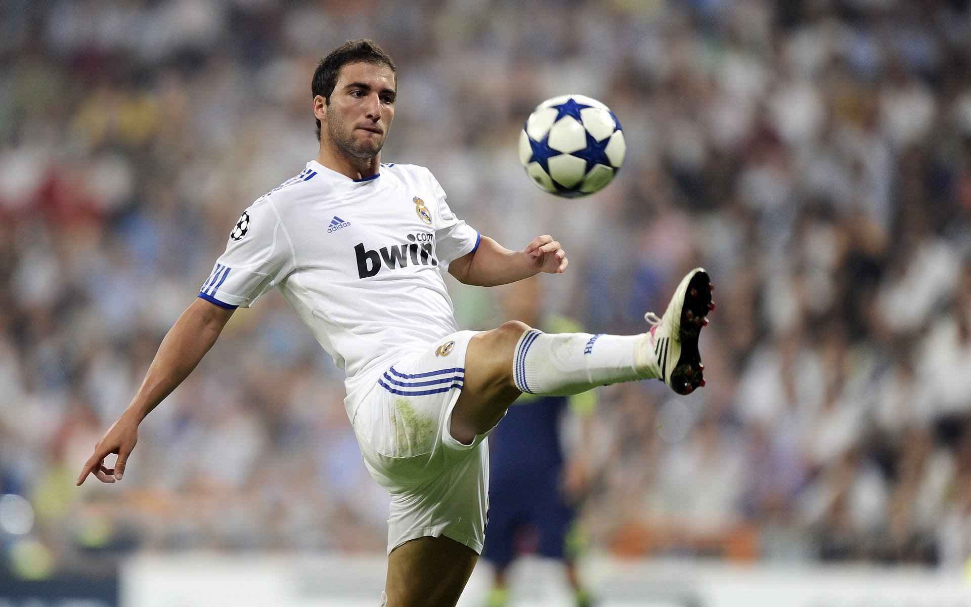 雷速APP-克瓦拉茨赫利亚爆发引领格鲁吉亚新纪元，几内亚战术完胜喀麦隆显非洲足球新格局