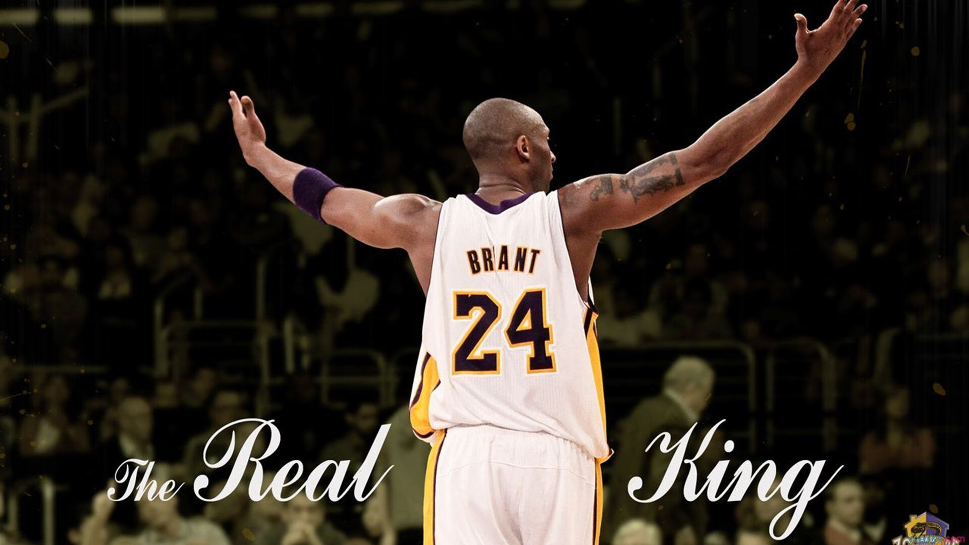 从公牛到绿军,逆转精神的传承与塔图姆的赛场火炬